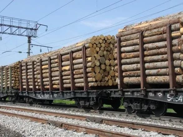 Президент підписав закон про запобігання вивезенню лісоматеріалів