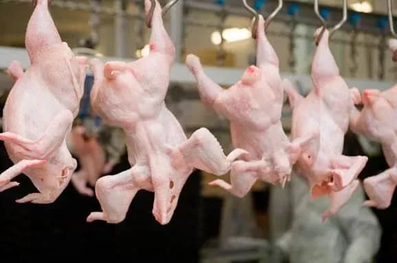 Аналітики прогнозують подорожчання курятини