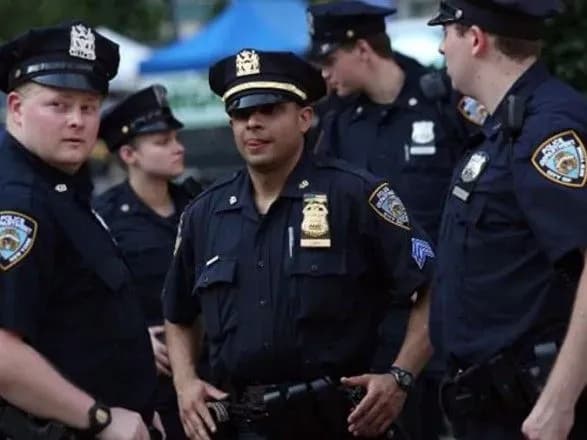 В США птицы "навеселе" залетают в окна и автомобили