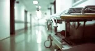 На Запоріжжі у восьми хворих виявили збудник лихоманки Західного Нілу