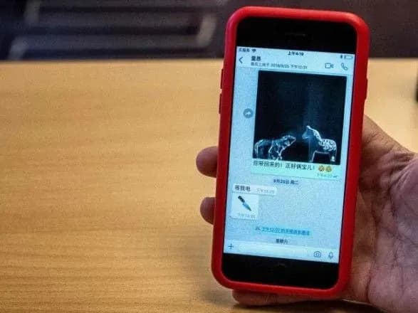 Дружині екс-президента Інтерполу погрожували "знайти її у Франції"