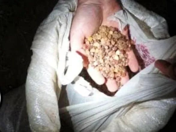 В Ровенской области изъяли янтаря на 280 тысяч гривен