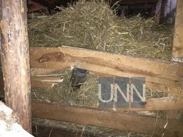 НП під Ічнею: Кабмін виділить 100 млн грн на ліквідацію наслідків