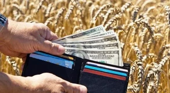 Депутату Найєму порадили не лізти у бюджет АПК