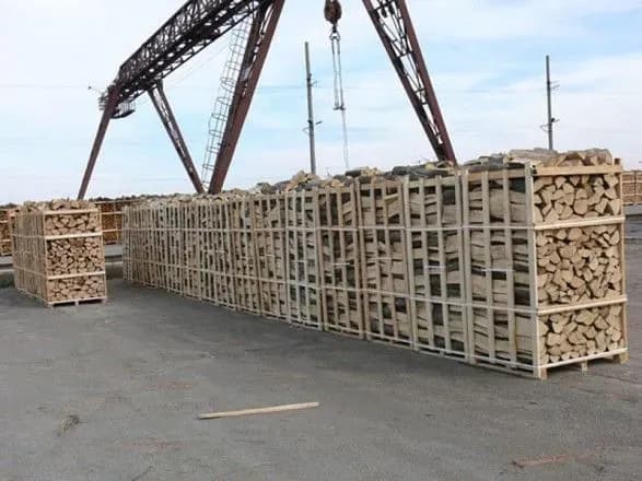 Проголосовав за экспорт дров, Рыбалка теперь требует отмены этой нормы