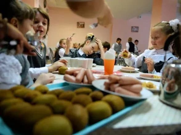 Уряд має встановити нові тендерні вимоги до постачальників продуктів у дитсадки та школи - Тригубенко