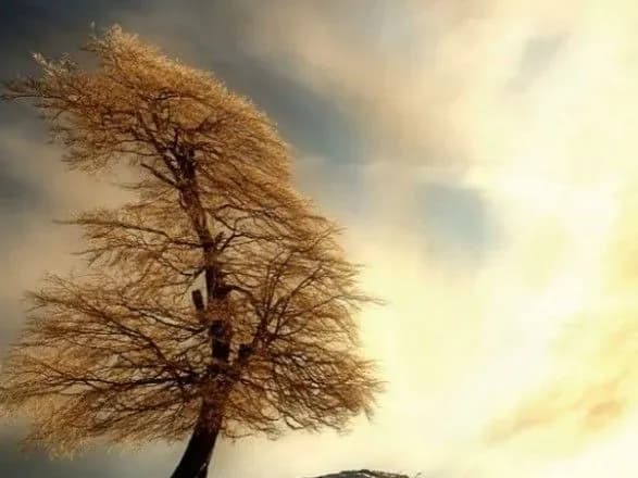 Жителів півдня України попередили про сильний вітер