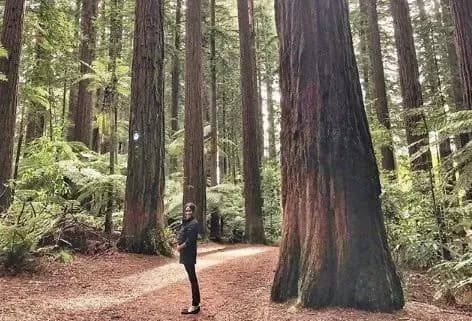 Принц Гаррі зробив фото вагітної Меган Маркл у Новій Зеландії