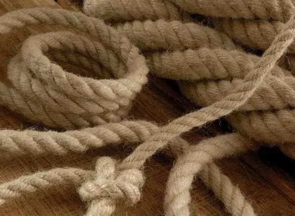 П'яна невістка задушила свекруху мотузкою та позбулася тіла