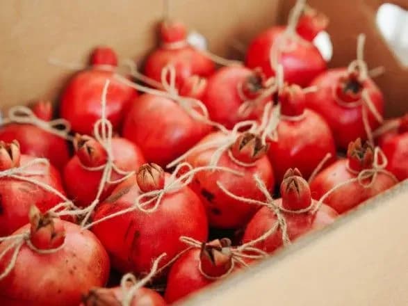 Близько 20 тонн заражених гранатів привезли в Україну з Туреччини