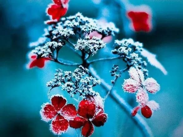 На вихідних в Україну прийде похолодання