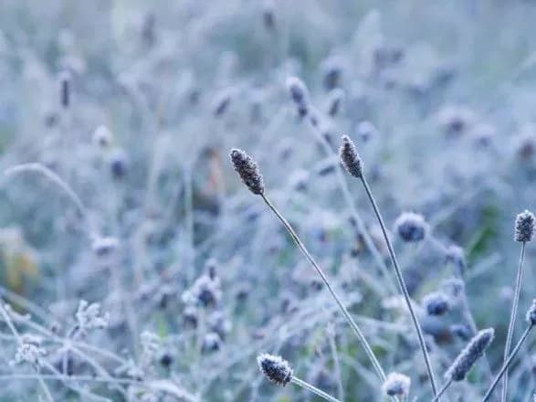 Сьогодні в Україні очікується суха погода