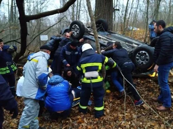 Лось став причиною ДТП під Чорнобилем