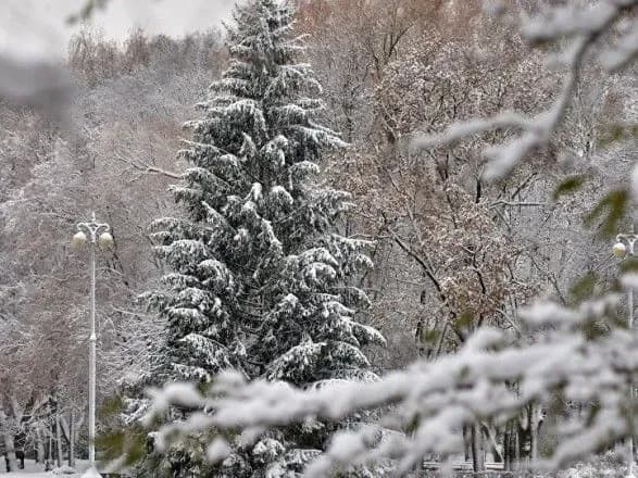 Метеоролог розповіла, якою буде зима