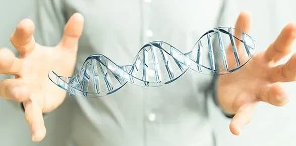 Китайська влада розберуться в історії із генетично відредагованими дітьми