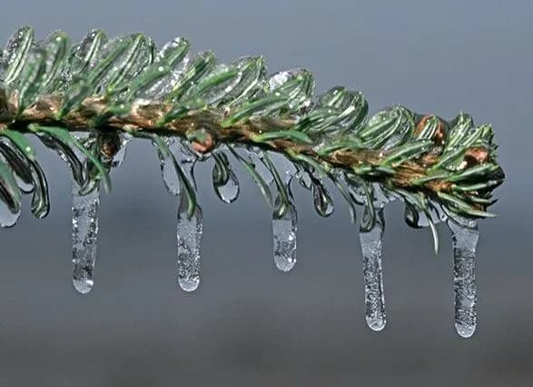 Туман с гололедицей накроют столицу