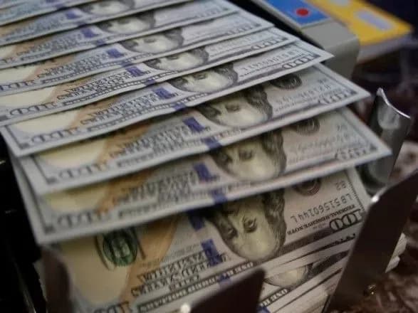 Лес, янтарь, азарт: эксперт объяснил, на чем бюджет теряет 400 миллионов долларов