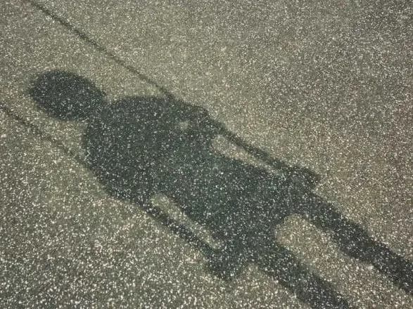 Дівчинка-підліток пішла до школи та не повернулася