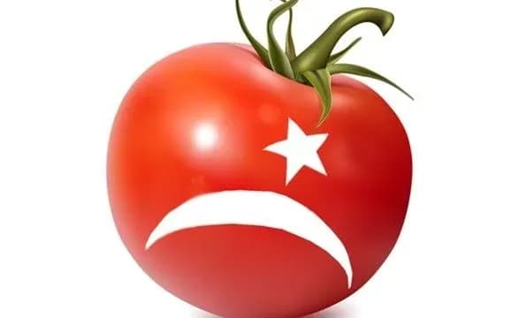 Товарообіг з Туреччиною сягнув 3 млрд доларів