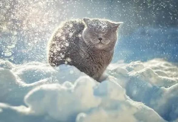 У Києві днями випаде до 20 см снігу