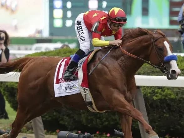 Кінь потрапив до топ-20 найбільш домінуючих спортсменів 2018 року – ESPN