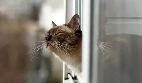 В Україну йде потепління