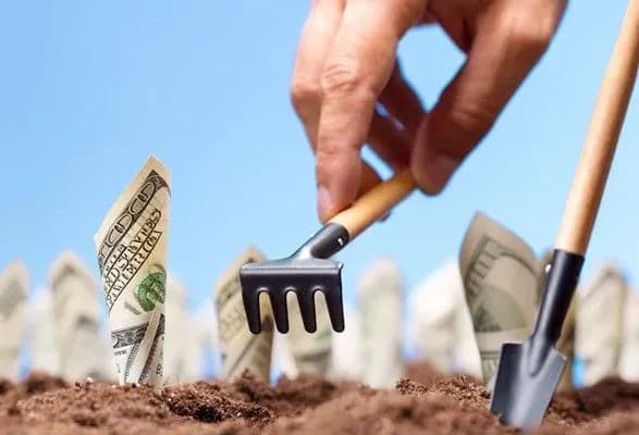 Вінницькі фермери стали найбільшими одержувачами дотацій