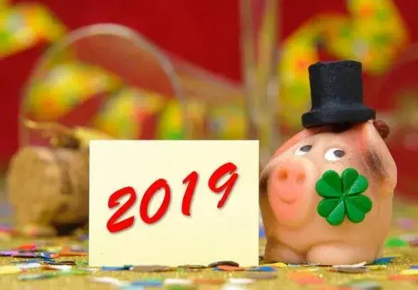 Как "не подкласть свинью" ко дню Святого Николая: совет от НАПК