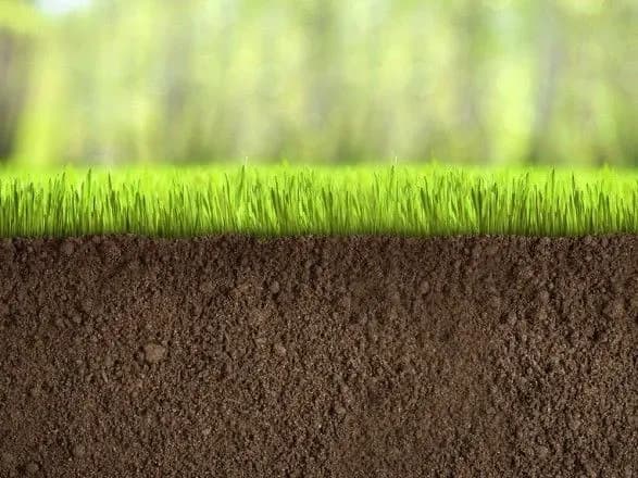 Радикали приписали собі "земельний" законопроект БПП