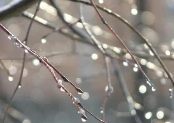 Завтра в Україні до 8 градусів тепла