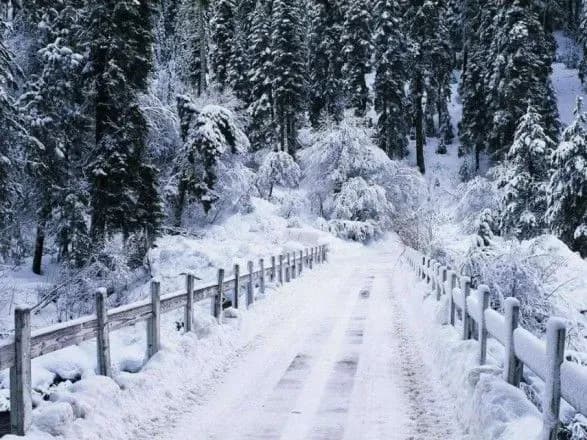 У Карпатах випало понад метр снігу