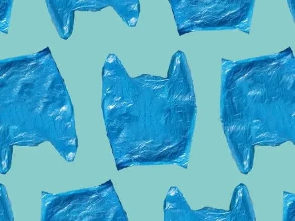 Порошенко ответил на петицию о запрете полиэтиленовых пакетов