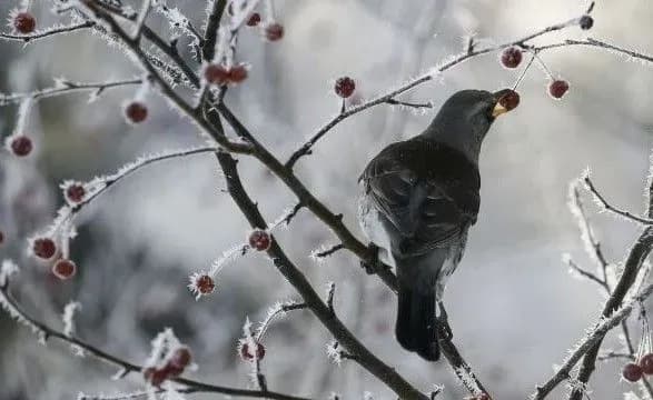 В Україні завтра очікується пониження температури