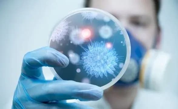 Кількість загиблих від свинячого грипу в Грузії зросла до 8 осіб