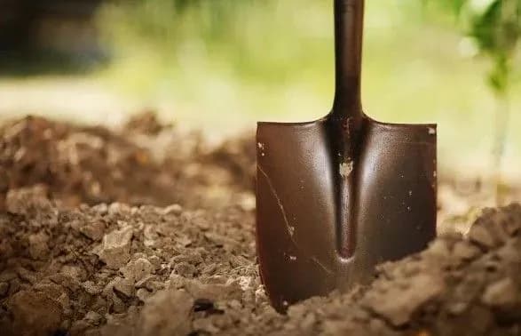 Чоловік зізнався у вбивстві брата через 9 років