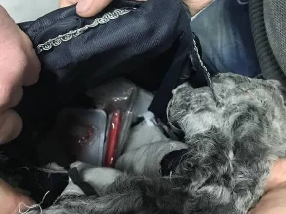 Іноземець намагався провезти контрабанду у шубі