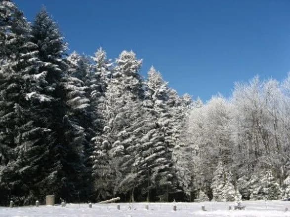 Поліція розслідує обставини загибелі від переохолодження дівчини на Житомирщині