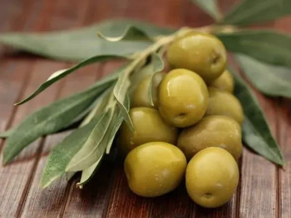 Між ЄС та США розгорається оливкова суперечка