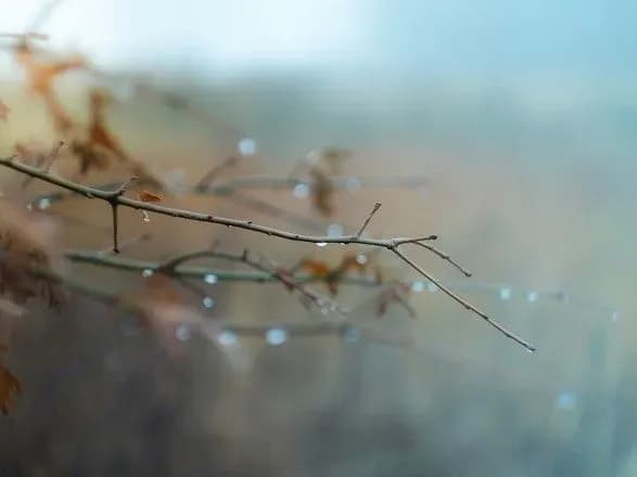 В Україні сьогодні невеликий дощ та ожеледиця