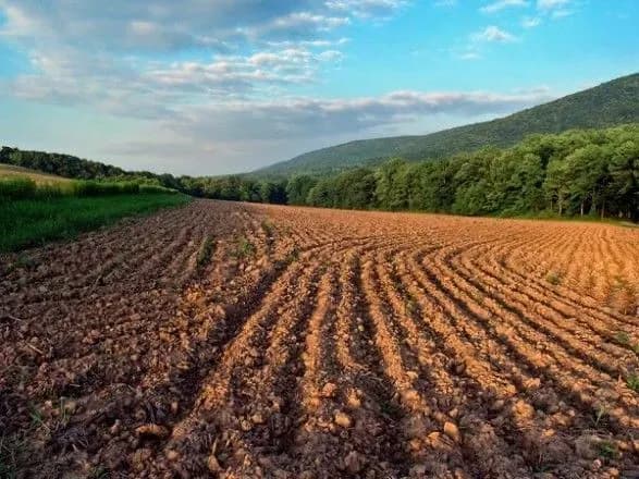 В Україні набув чинності закон про продовження мораторію на продаж с/г земель
