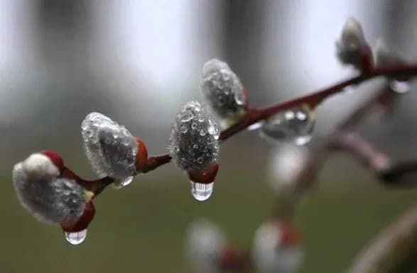 Синоптик розповів про погоду на вихідні