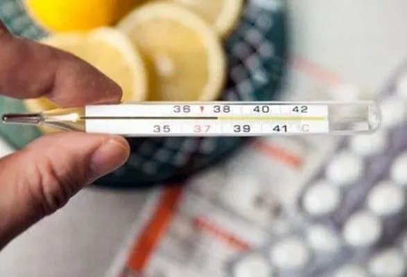 Епідемія грипу у Франції вбила більше тисячі людей