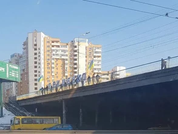 Агитацию Гриценко назвали "лютым трэшом"