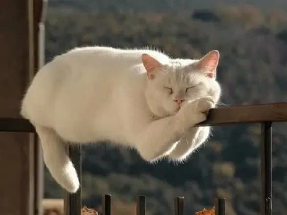 В Україну йде потепління, місцями до 14 градусів