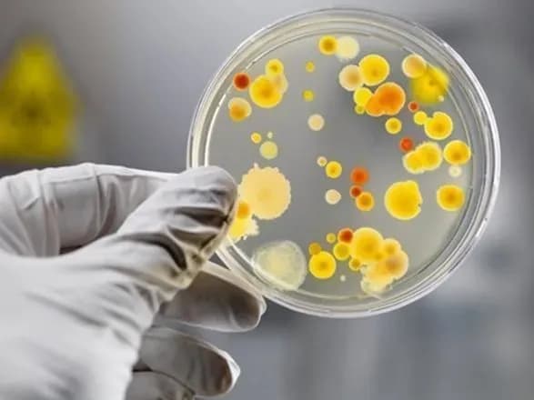 В Украине зафиксировано меньше пострадавших от кишечных инфекций и отравлений в 2018 году