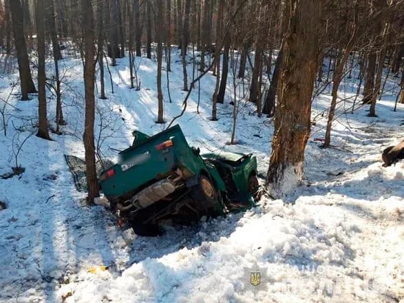 Через зіткнення автівки з деревом загинуло двоє людей