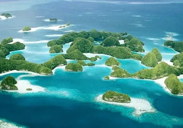 Знайдена черепаха, яка вважалася вимерлою