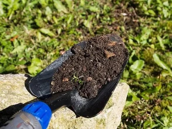 У 2018 році в Україні під карантин потрапило понад 27 тисяч га землі