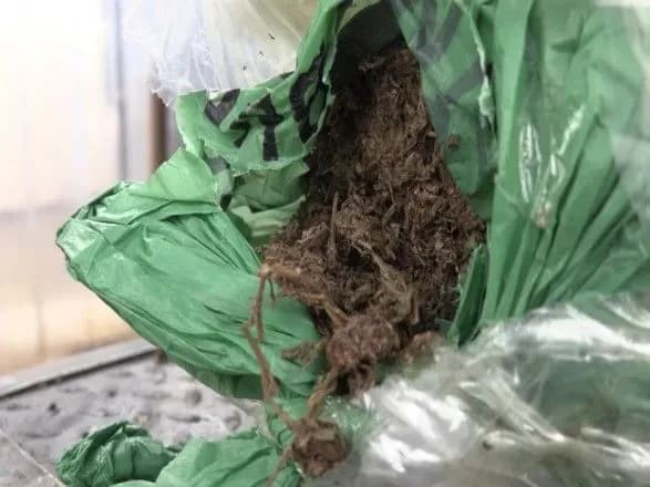 Українець намагався вивезти на окуповану територію майже 5 кг "трави"