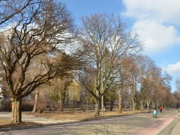 В Тернополі через аварію 11 будинків залишились без води